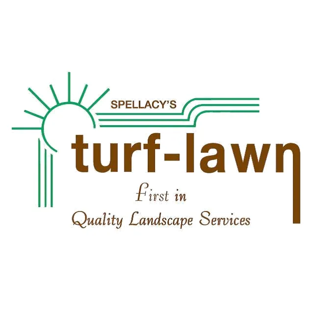 Expert yard cleanup service in Galena, OH - Spellacy's Turf-Lawn