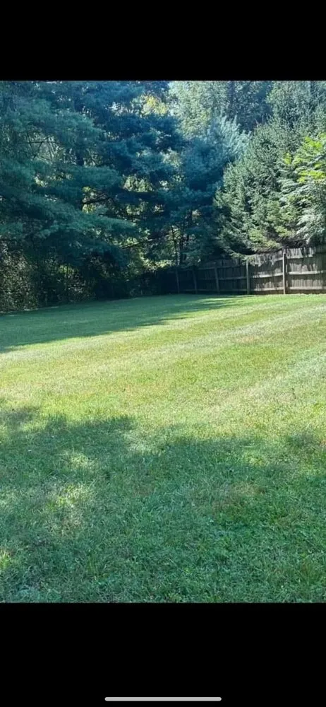 Trusted landscape installation for year-round maintenance across Fairmont, WV - Spell’s Lawn Care Landscaping Handyman Needs