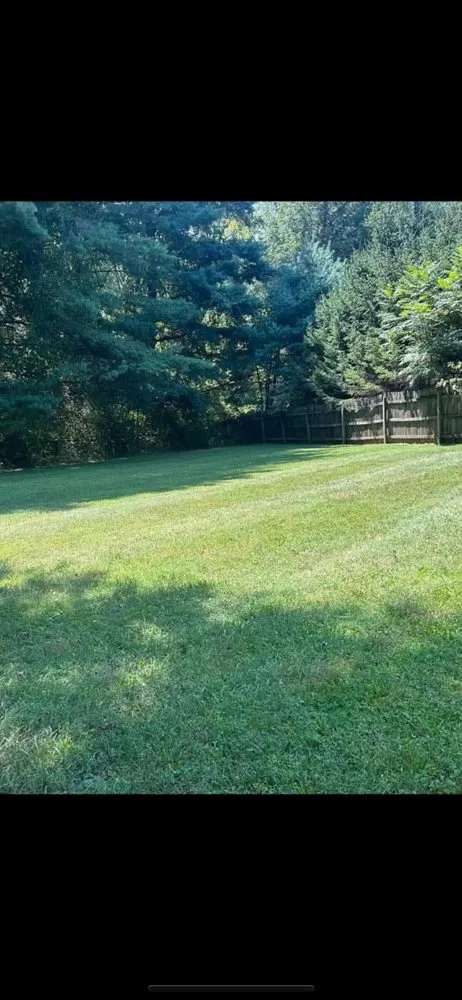 Local yard maintenance experts serving Fairmont, WV - Spell’s Lawn Care Landscaping Handyman Needs