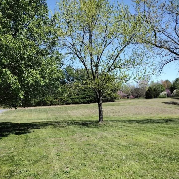 Trusted landscaping services in Fredericksburg, VA - Spence Mowing Service