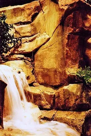 Reliable lawn care service with custom design in Cedar Park, TX by Spencer Dean Creations & Biophilic Designs