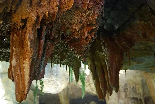 Top-rated landscape installation for beautiful yards across Cedar Park, TX - Spencer Dean Creations & Biophilic Designs