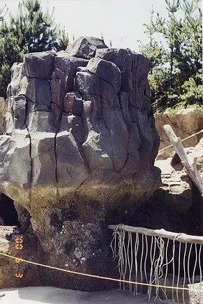 Expert landscape design for residential properties across Cedar Park, TX - Spencer Dean Creations & Biophilic Designs