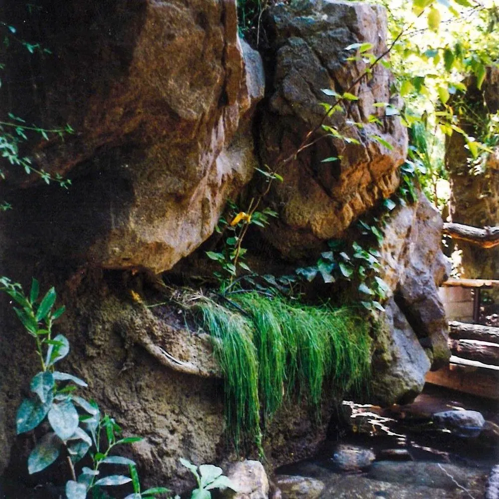 Custom landscaping services for year-round maintenance in Cedar Park, TX by Spencer Dean Creations & Biophilic Designs