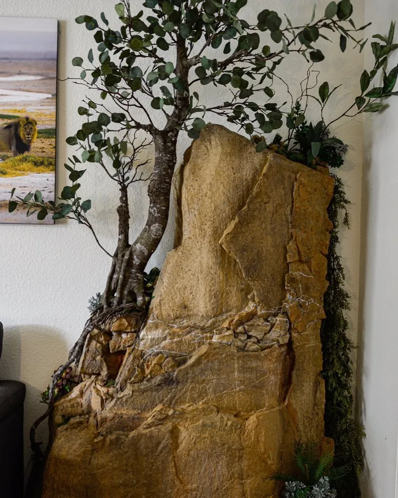 Local lawn care service for homes in Cedar Park, TX by Spencer Dean Creations & Biophilic Designs