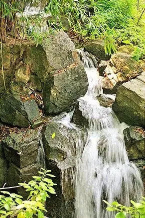 Reliable lawn mowing service for homes across Cedar Park, TX - Spencer Dean Creations & Biophilic Designs