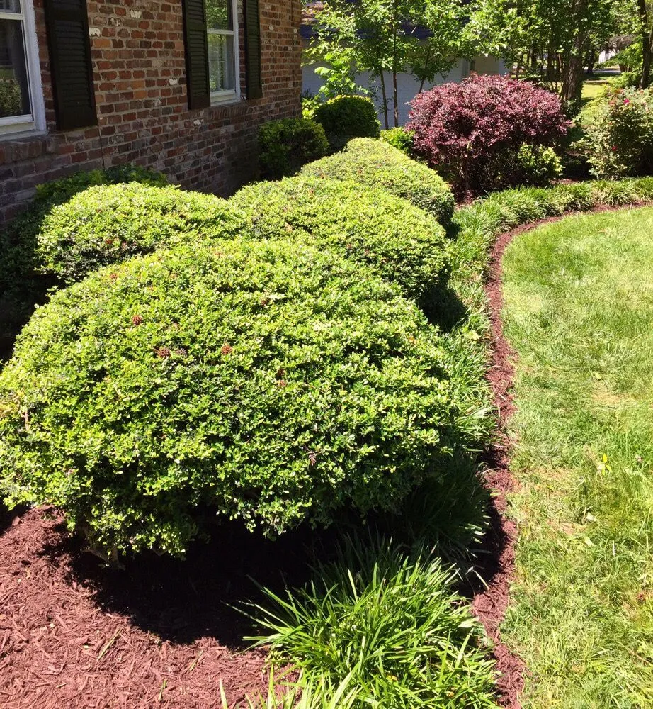 Trusted residential landscaping in Waxhaw, NC - Spencer Home Services