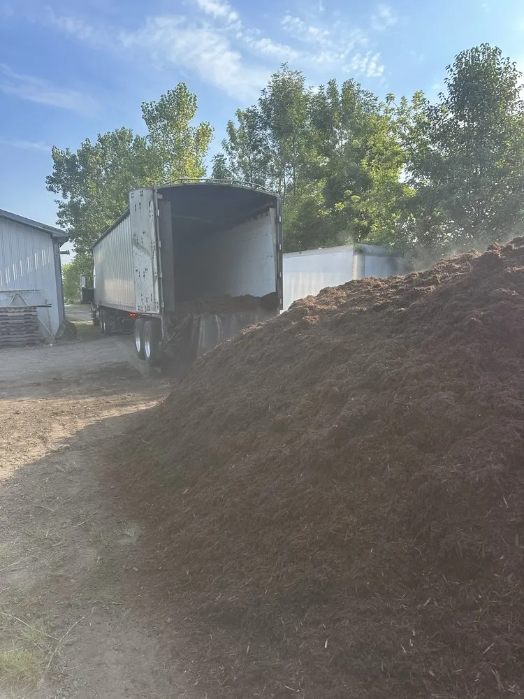 Trusted yard cleanup service experts serving Ottawa Lake, MI - Spencer Lawn & Landscape