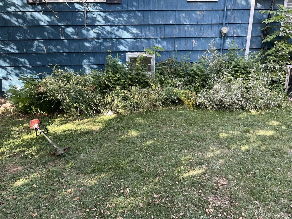 Expert landscaping services for year-round maintenance in Kirksville, MO by Spencer Lawn And Landscape