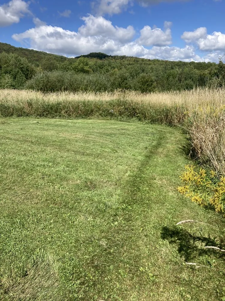 Trusted yard cleanup service in Tullahoma, TN - spencer lawncare