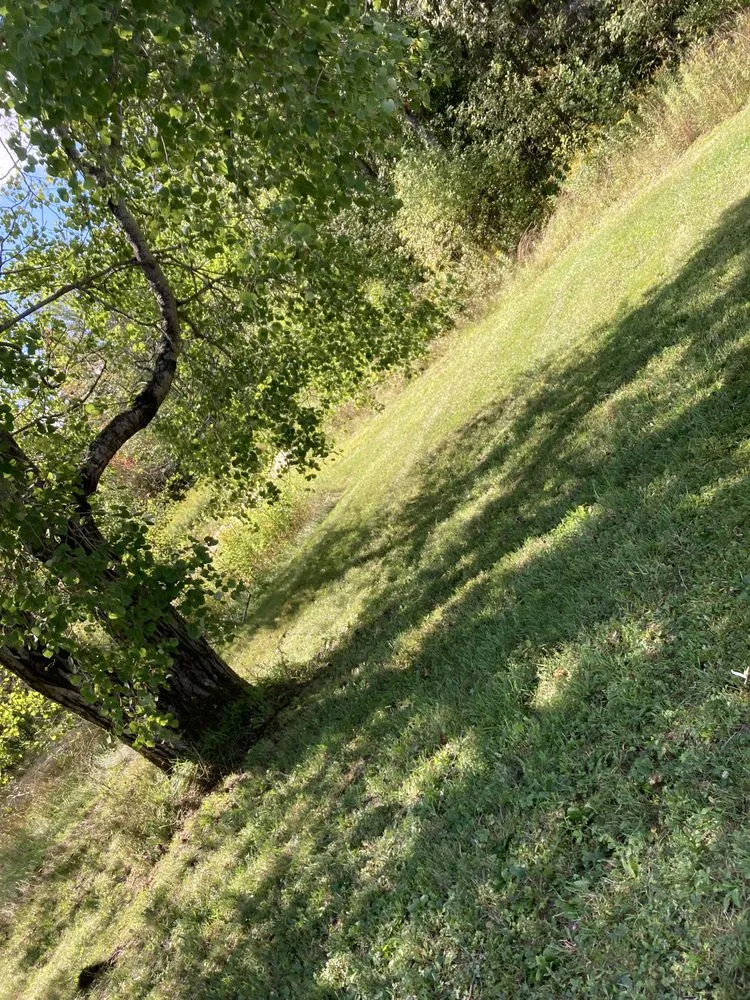 Expert yard maintenance experts serving Tullahoma, TN - spencer lawncare