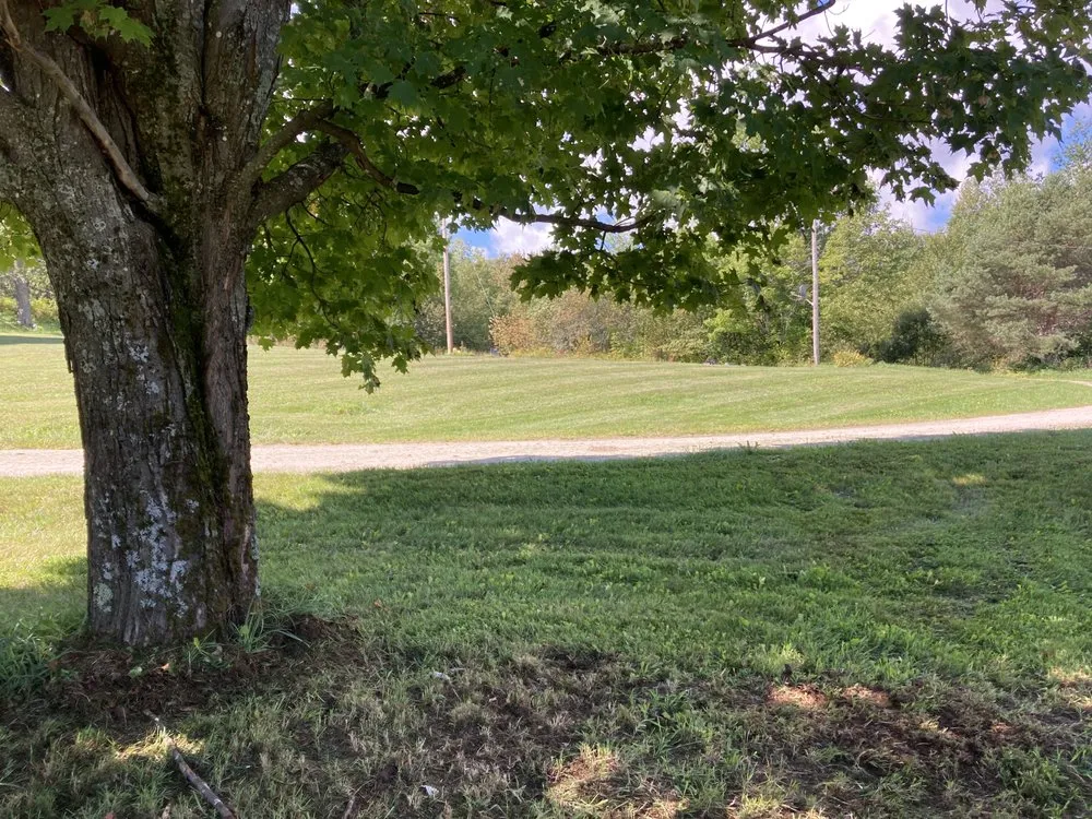 Affordable yard maintenance for residential properties in Tullahoma, TN by spencer lawncare