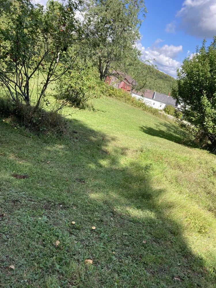 Top-rated yard cleanup service in Tullahoma, TN by spencer lawncare