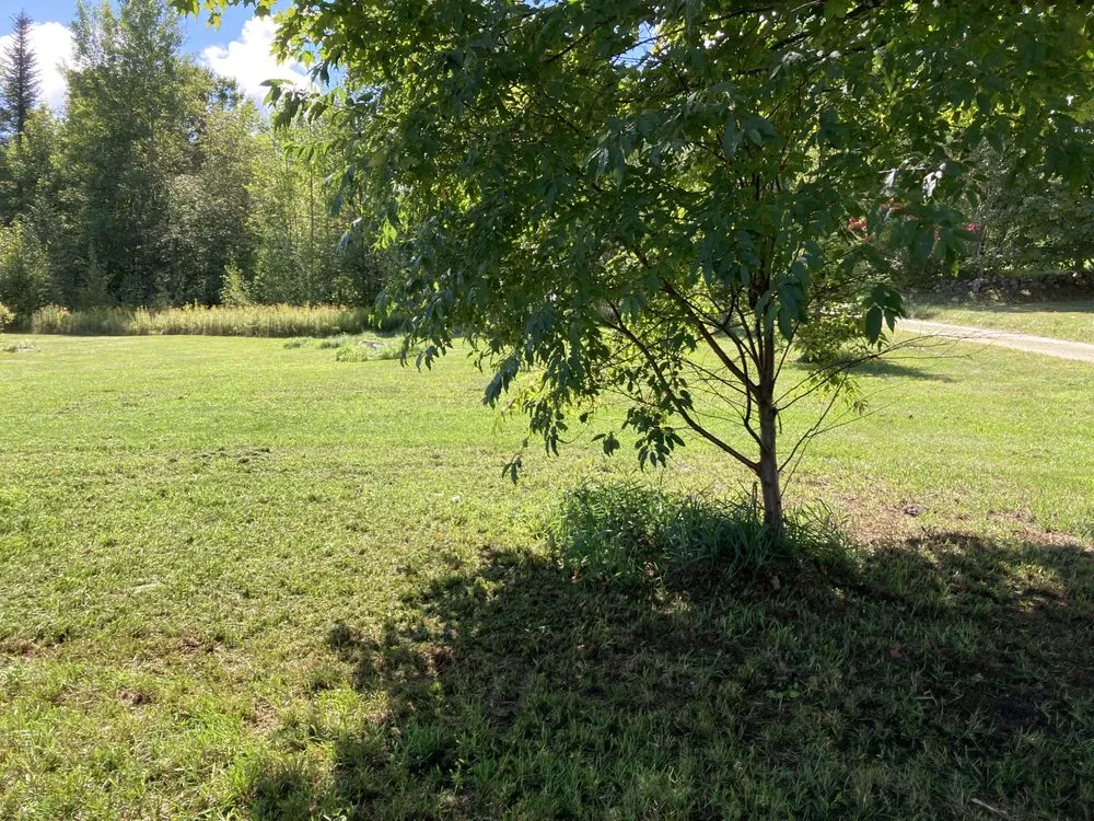 Professional landscaping services experts serving Tullahoma, TN - spencer lawncare