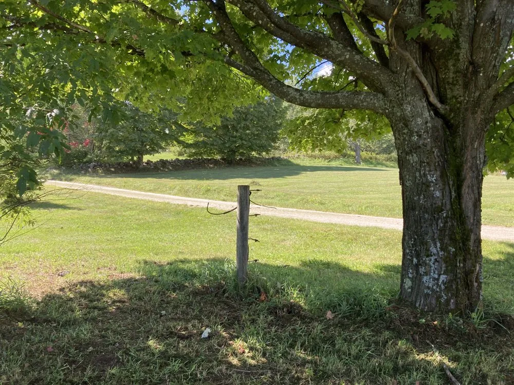 Trusted lawn mowing service for year-round maintenance in Tullahoma, TN by spencer lawncare