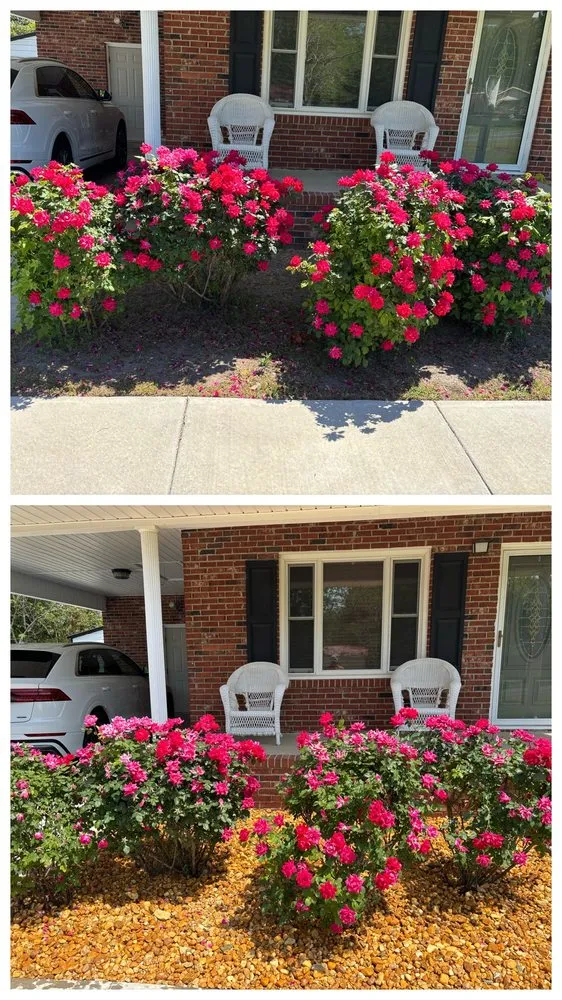 Trusted lawn care service with custom design across Myrtle Grove, NC - Spencer Property Maintenance