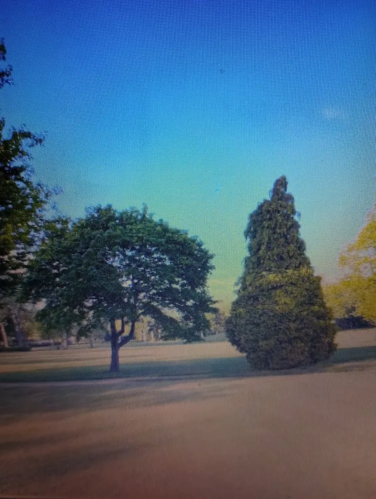 Custom lawn mowing service with custom design across Cedar Springs, MI - Spencer's Lawn Care