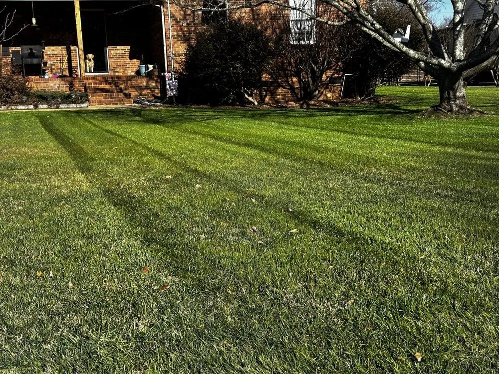 Top-rated garden landscaping near you across Mount Holly, NC - Spencer’s Lawn Care