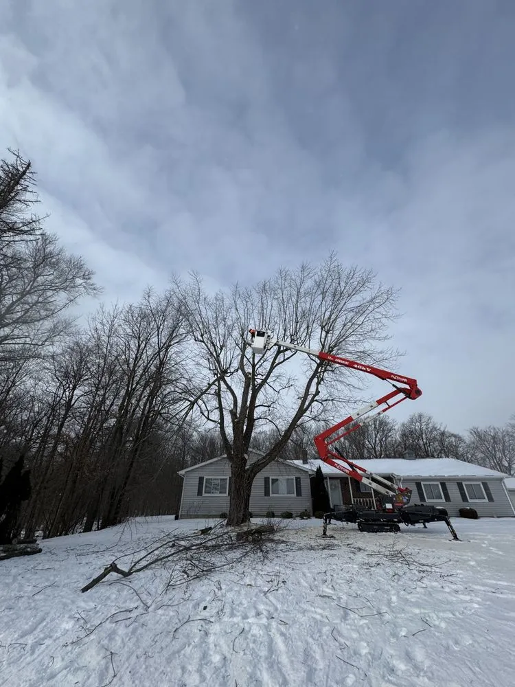 Professional lawn mowing service near you across Bucyrus, OH - Spencer's Tree & Landscape Solutions