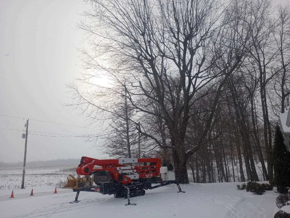 Affordable lawn mowing service in Bucyrus, OH - Spencer's Tree & Landscape Solutions