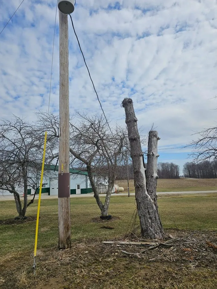 Custom yard maintenance experts serving Bucyrus, OH - Spencer's Tree & Landscape Solutions