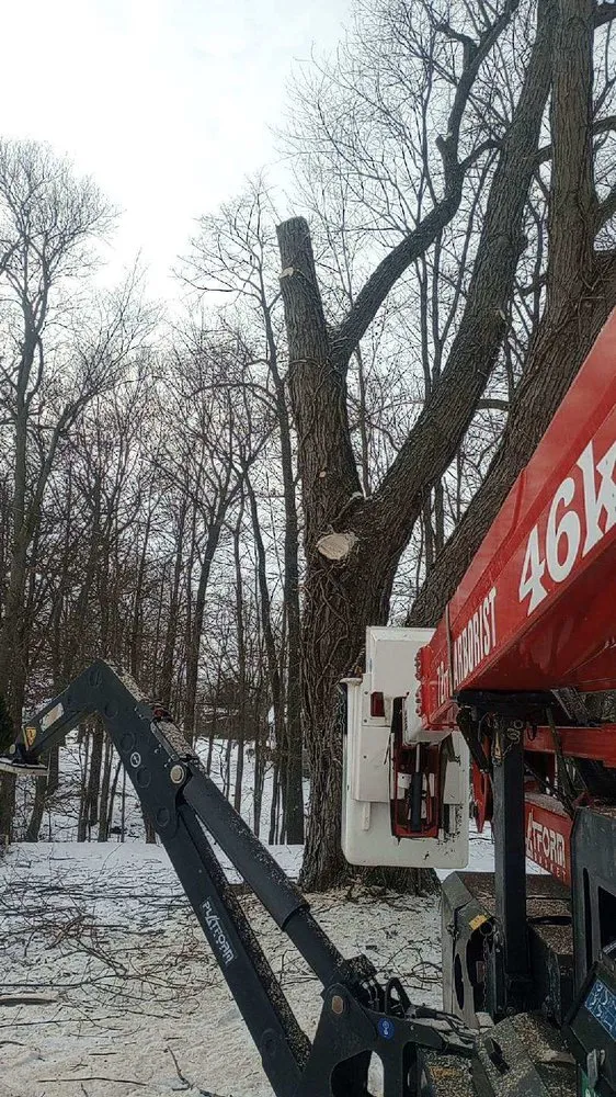 Local landscaping services for outdoor upgrades across Bucyrus, OH - Spencer's Tree & Landscape Solutions