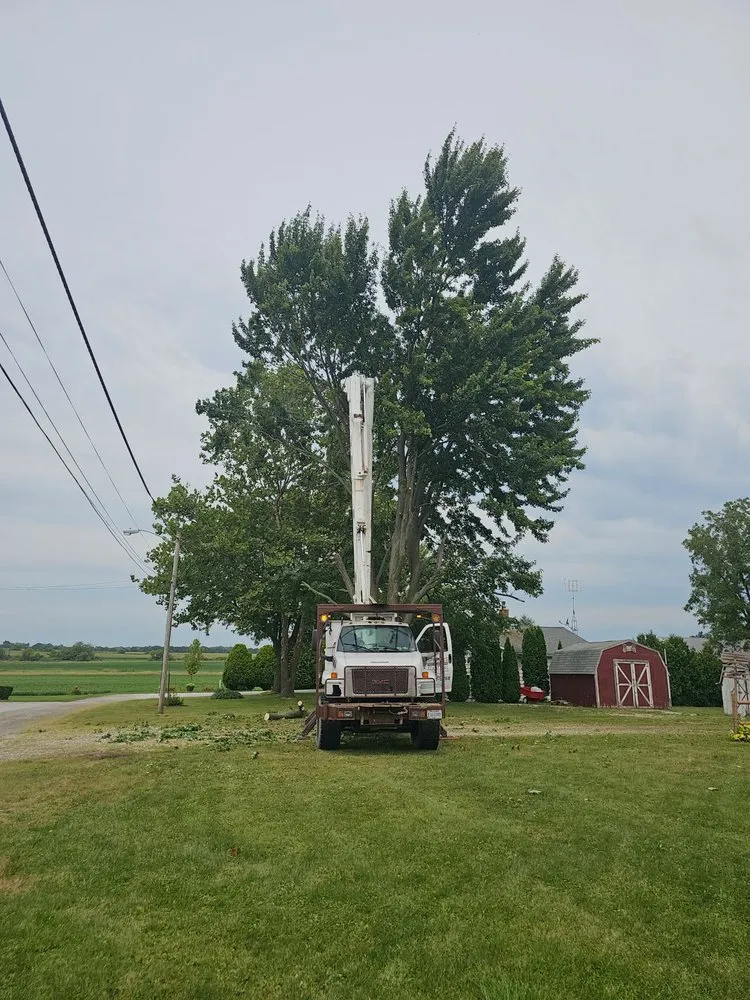 Professional landscape design in Bucyrus, OH by Spencer's Tree & Landscape Solutions