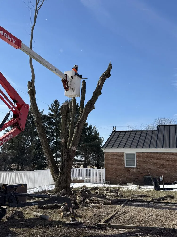 Local landscaping services experts serving Bucyrus, OH - Spencer's Tree & Landscape Solutions