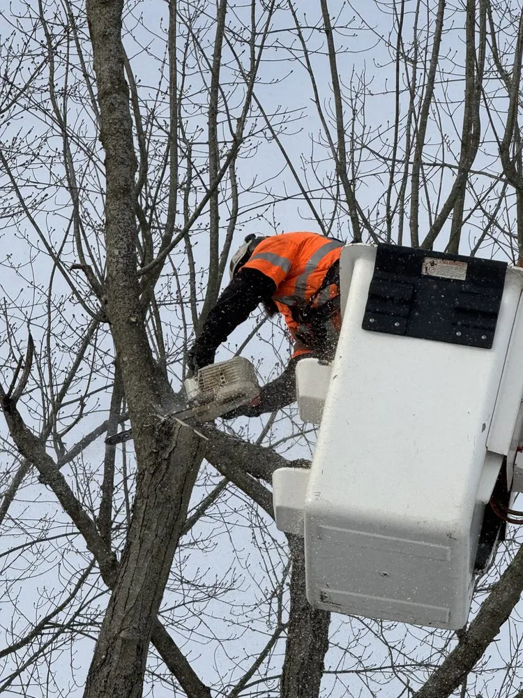 Reliable outdoor landscaping experts serving Bucyrus, OH - Spencer's Tree & Landscape Solutions