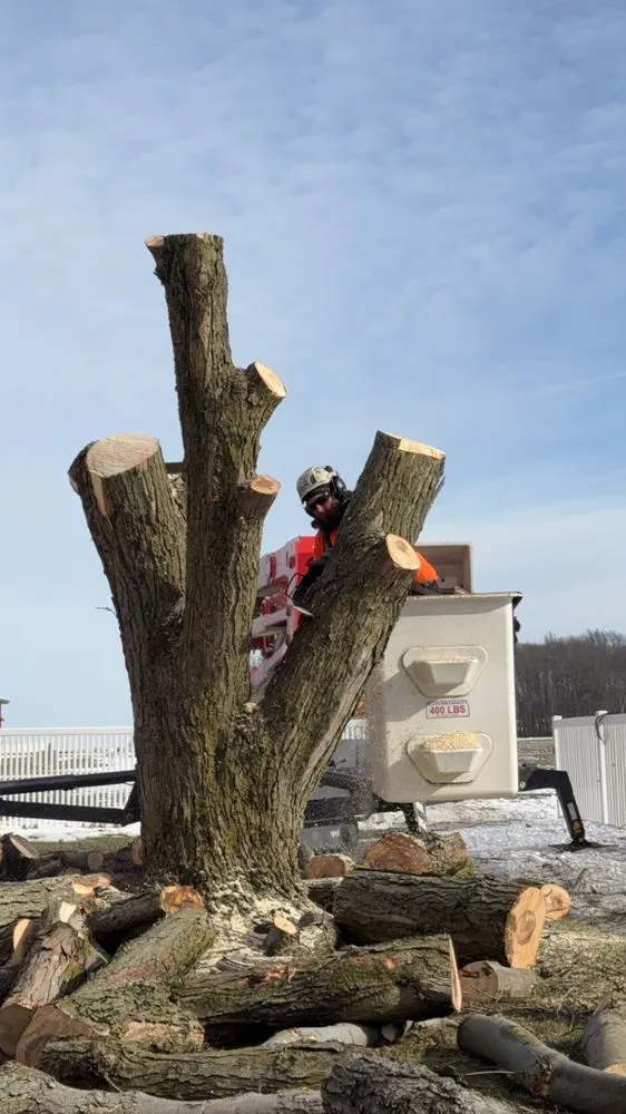 Local lawn mowing service for homes in Bucyrus, OH by Spencer's Tree & Landscape Solutions