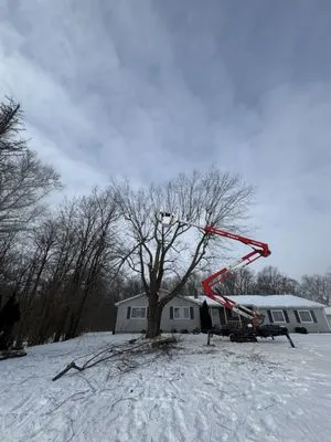 Spencer's Tree & Landscape Solutions