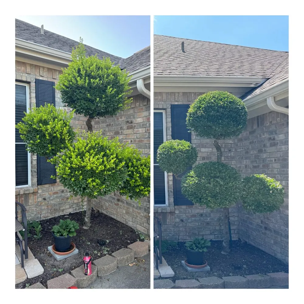 Trusted yard cleanup service in Mckinney, TX by Spence's Landscape & Exteriors