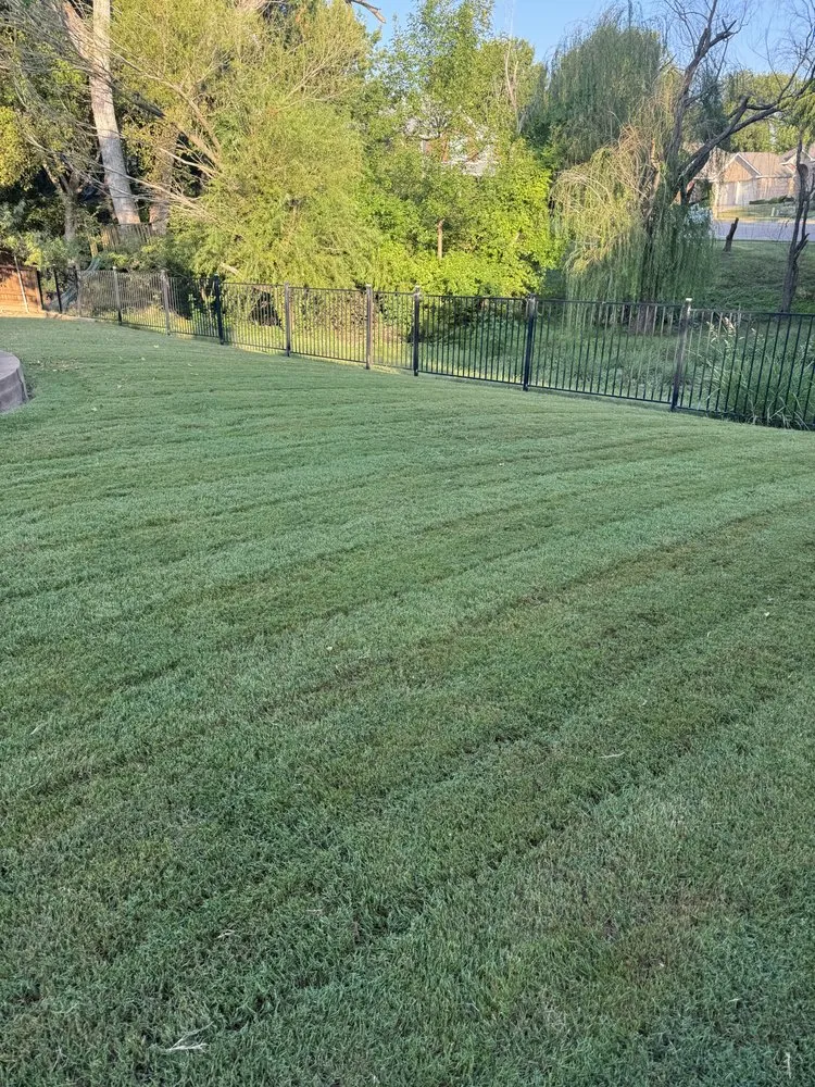 Top-rated yard maintenance in Mckinney, TX by Spence's Landscape & Exteriors