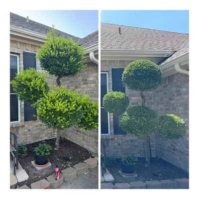 Spence's Landscape & Exteriors Logo