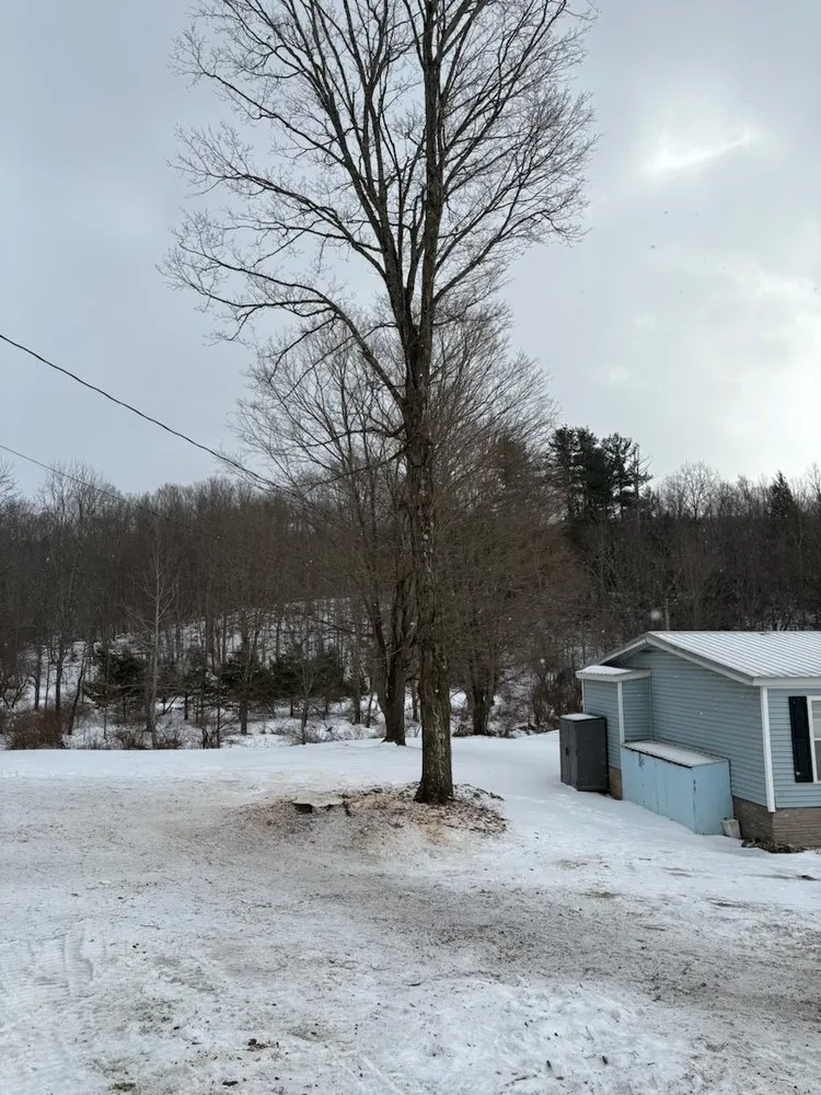 Custom landscaping services experts serving Greenville, NY - Spence’s Tree Care N Landscaping