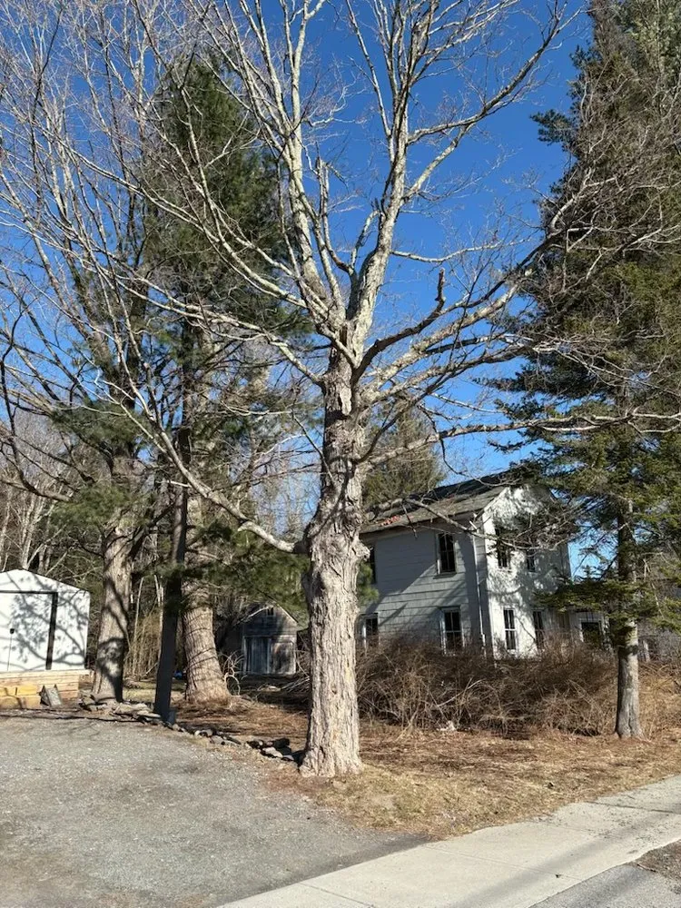 Reliable residential landscaping experts serving Greenville, NY - Spence’s Tree Care N Landscaping