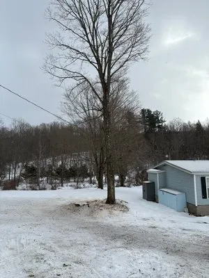 Spence’s Tree Care N Landscaping