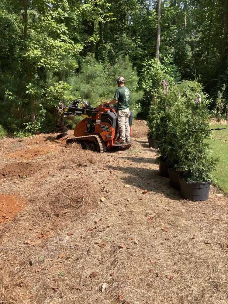 Local lawn care service in Raleigh, NC - Speno's Lawn Care