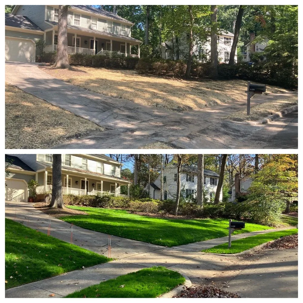 Professional landscape design in Raleigh, NC by Speno's Lawn Care