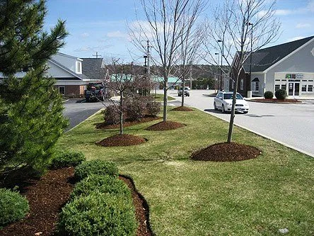 Professional outdoor landscaping in Rochester, NY - Spezio Property Services