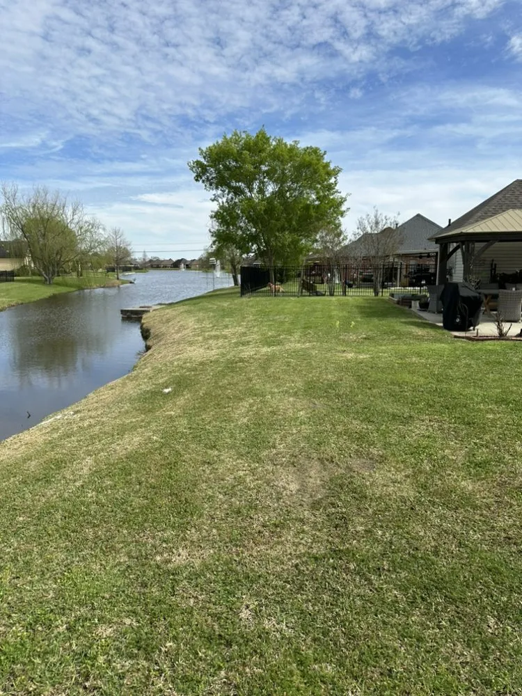 Expert yard cleanup service in Plaquemine, LA - SpgOne Lawn & Services