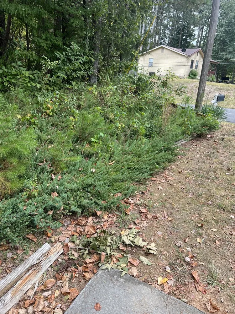 Trusted yard cleanup service experts serving Atlanta, GA - SPH Landscaping, Pressure Washing & Painting