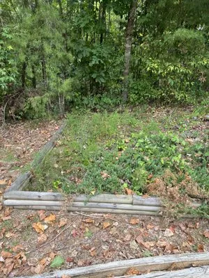 SPH Landscaping, Pressure Washing & Painting Logo