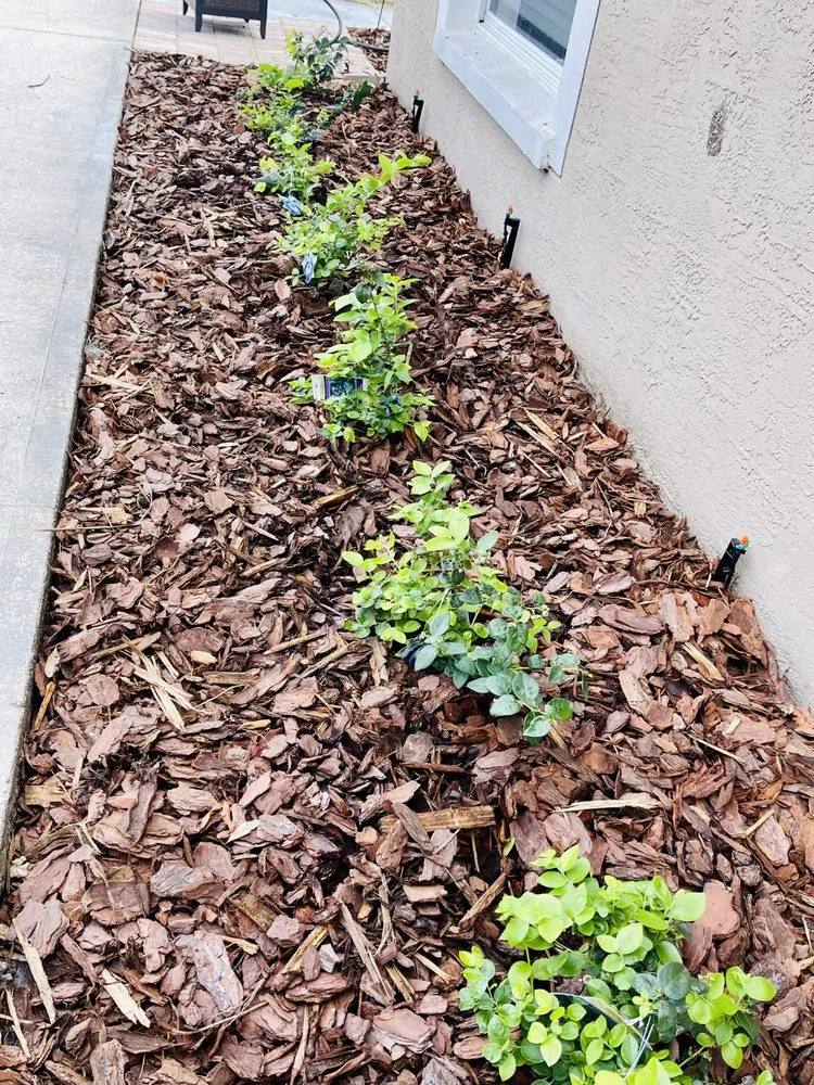 Local landscape design in Lake Wales, FL - Sphere Landscape