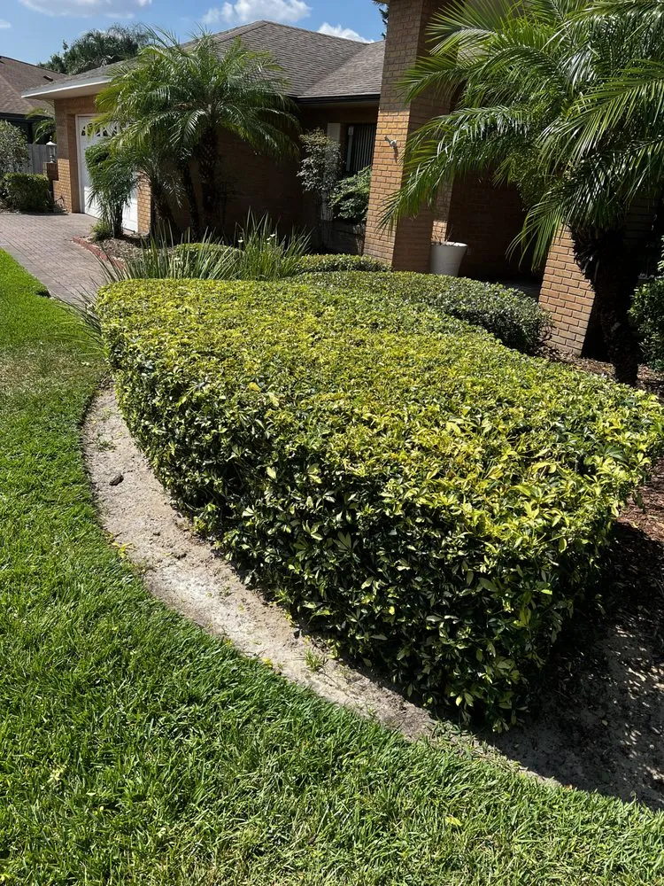 Affordable yard cleanup service with custom design across Lake Wales, FL - Sphere Landscape