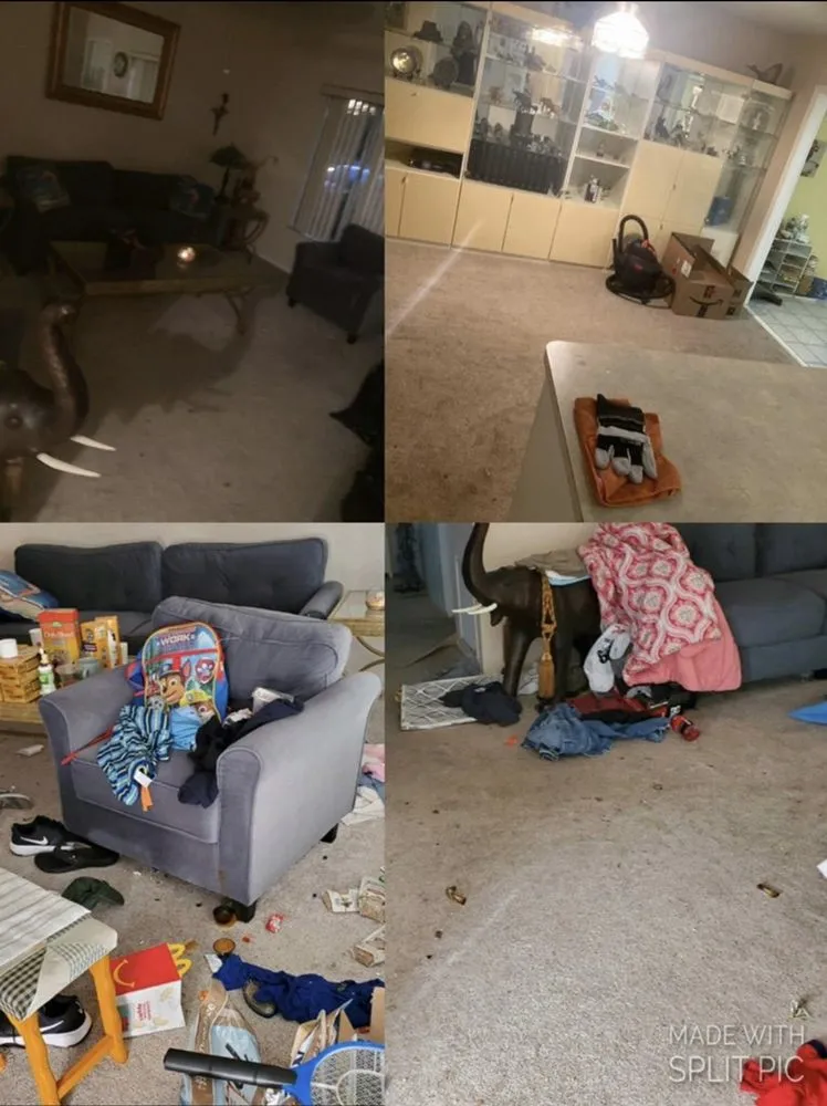 Affordable outdoor landscaping experts serving Sarasota, FL - Spic and Span Cleaning