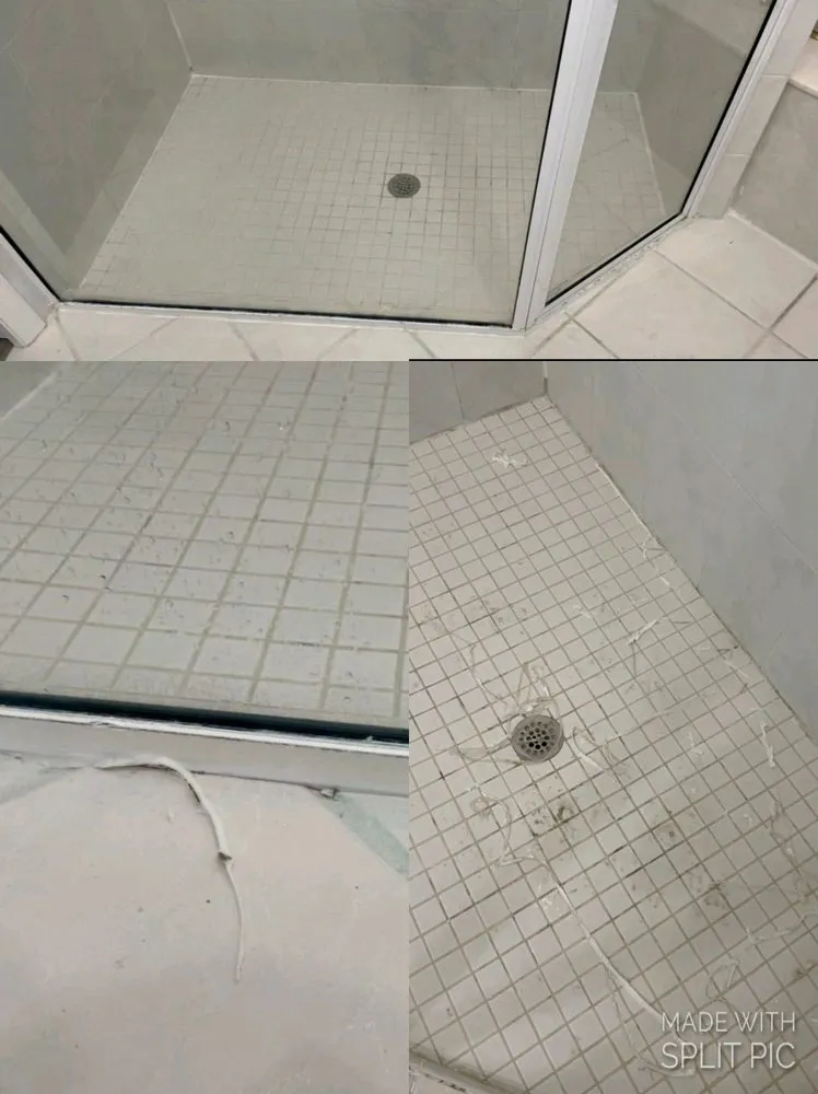 Top-rated landscape installation in Sarasota, FL - Spic and Span Cleaning