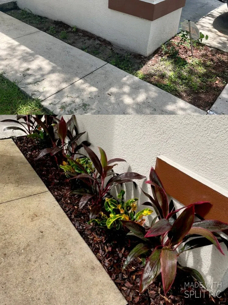 Trusted outdoor landscaping for outdoor upgrades in Sarasota, FL by Spic and Span Cleaning