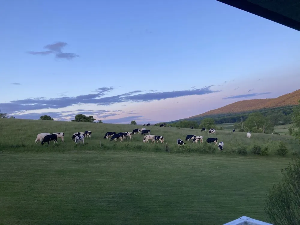 Affordable lawn care service near you in Boalsburg, PA by Spicer’s landscaping