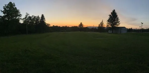 Spicer’s landscaping